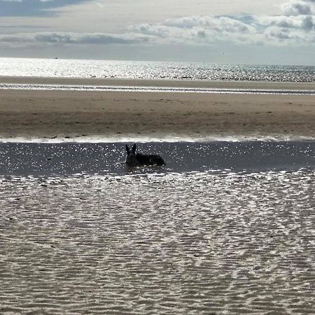 The Sun Trap @ Bridlington'S Bed & Bowl Beach Breaks Luaran gambar