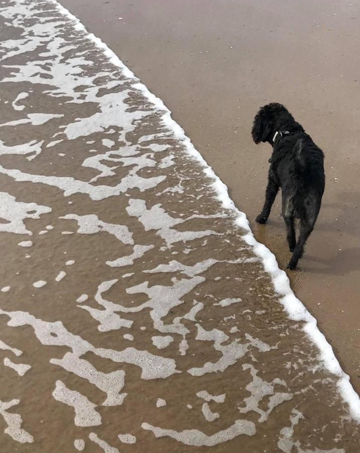 The Sun Trap @ Bridlington'S Bed & Bowl Beach Breaks Luaran gambar