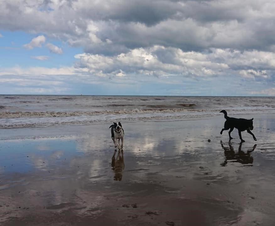 The Sun Trap @ Bridlington'S Bed & Bowl Beach Breaks Luaran gambar