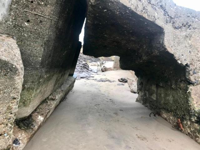 The Sun Trap @ Bridlington'S Bed & Bowl Beach Breaks Luaran gambar