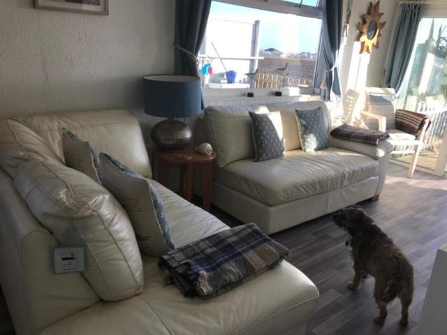 The Sun Trap @ Bridlington'S Bed & Bowl Beach Breaks Luaran gambar