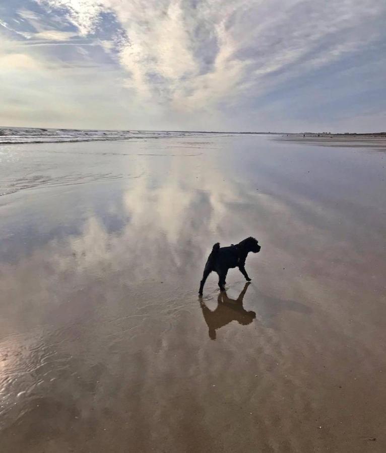 The Sun Trap @ Bridlington'S Bed & Bowl Beach Breaks Luaran gambar