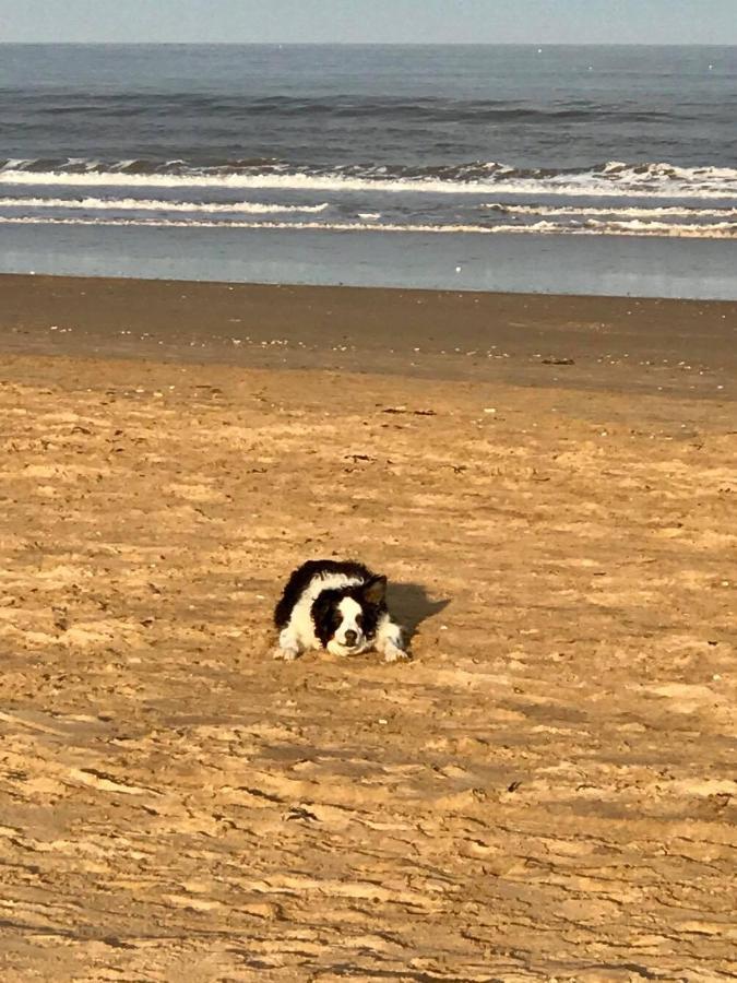 The Sun Trap @ Bridlington'S Bed & Bowl Beach Breaks Luaran gambar