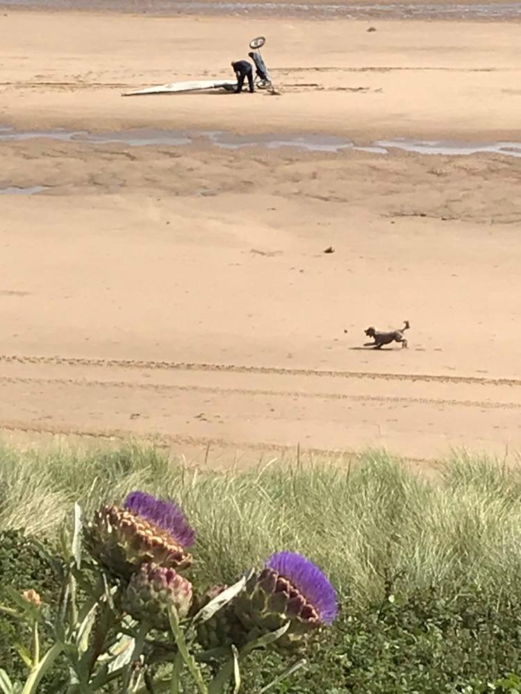 The Sun Trap @ Bridlington'S Bed & Bowl Beach Breaks Luaran gambar